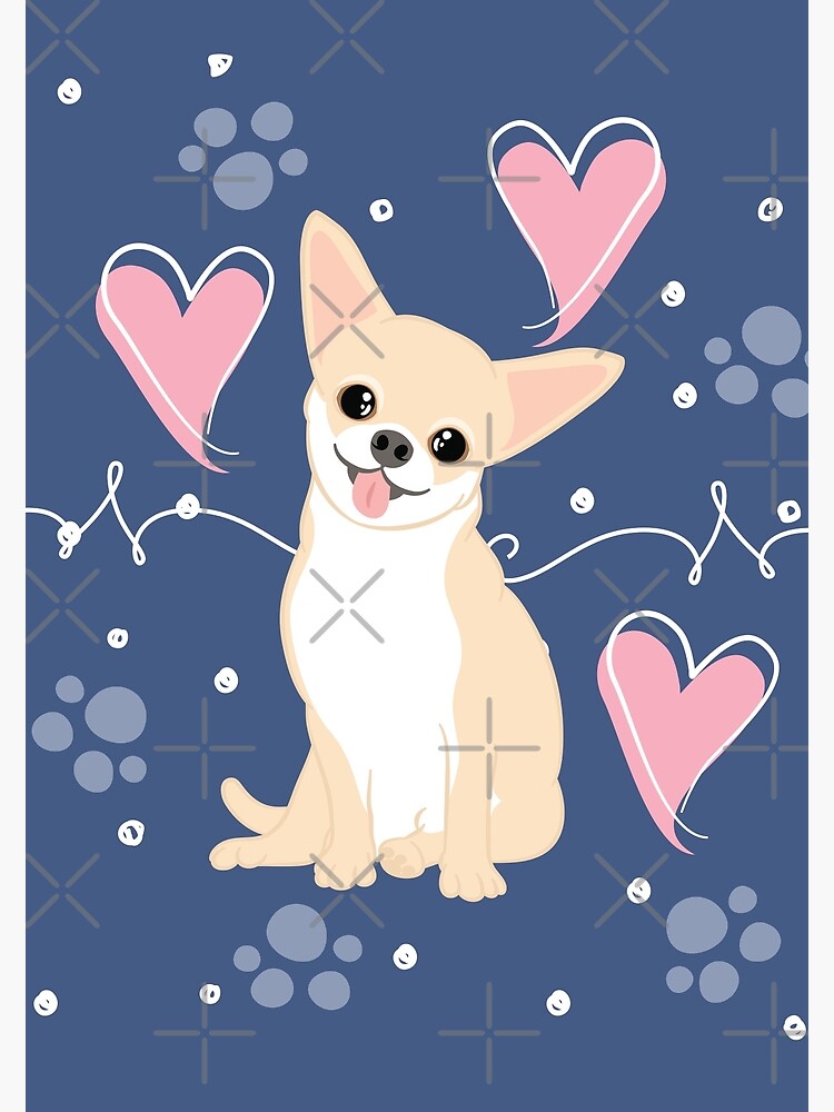 LOVE Fawn Cream White Chihuahua 3