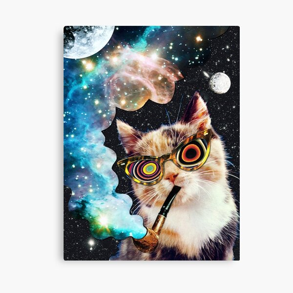 Dollar Bill Feline Collectible FAKE 1 MONEY-V1 Tabby Cat Kittens