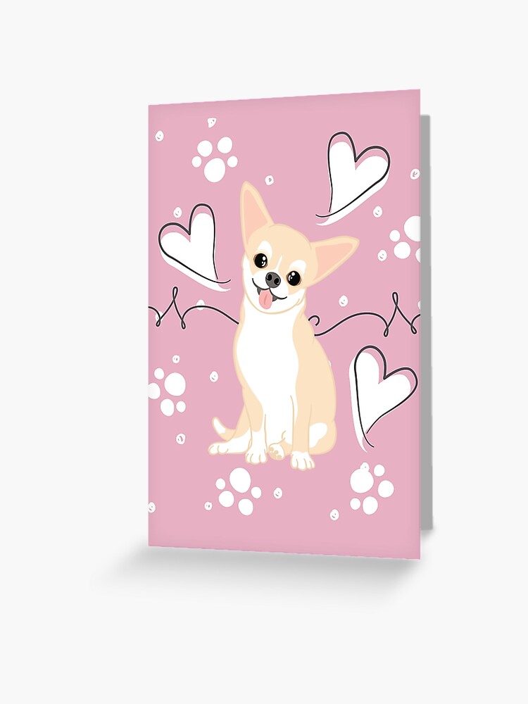 LOVE Fawn Cream White Chihuahua 4