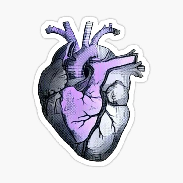 Anatomical Heart ALTERED Lavender Sticker