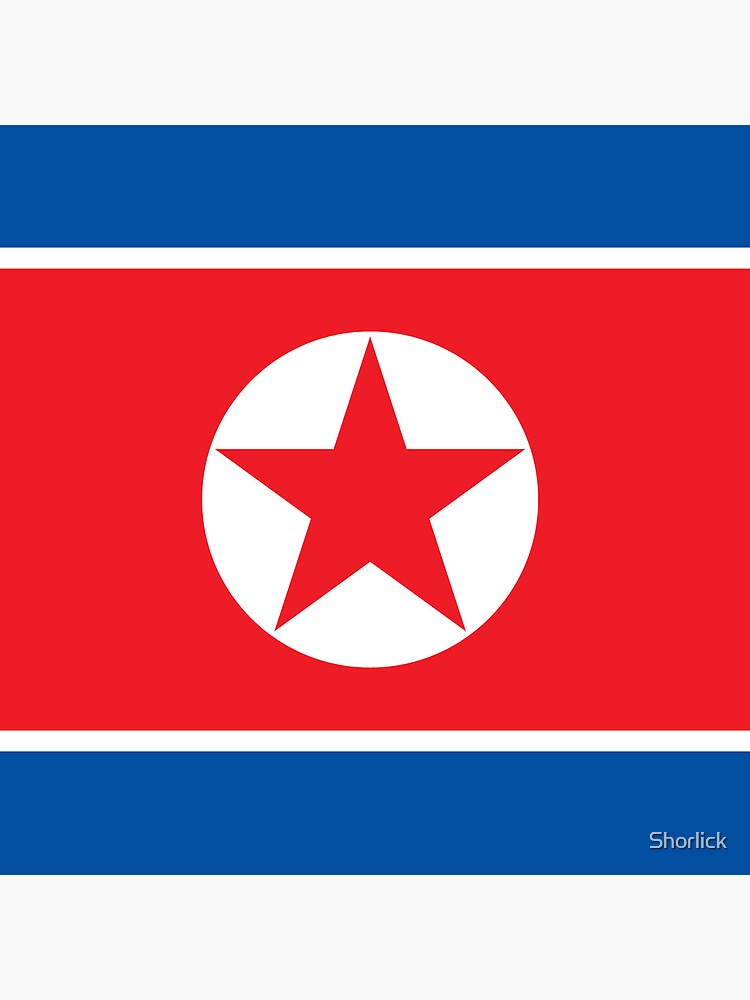 Aperçu 3 sur 3. Coussin avec l'œuvre Drapeau de la Corée du Nord créée et vendue par Shorlick.