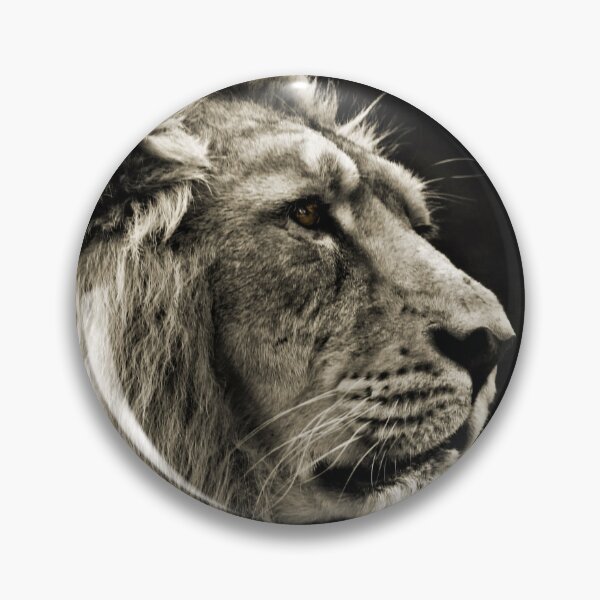 Item preview, Asiatic Lion SC designed and sold by Yampimon.