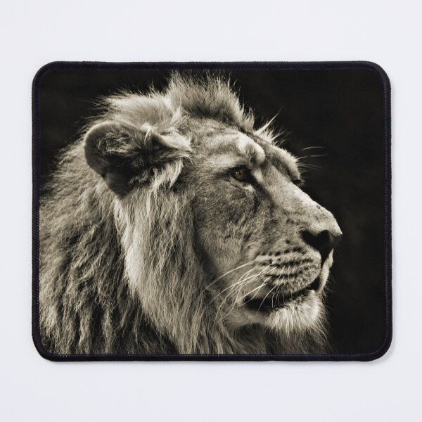 Item preview, Asiatic Lion SC designed and sold by Yampimon.