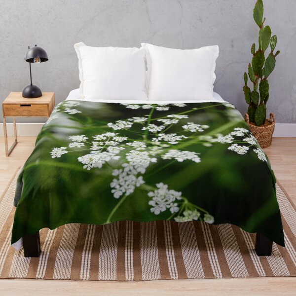 Item preview, Queen Anne's lace. Cow parsley designed and sold by Jouko Lehto Photography.