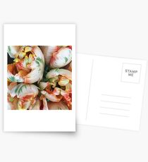 Parrot Tulips Postcards