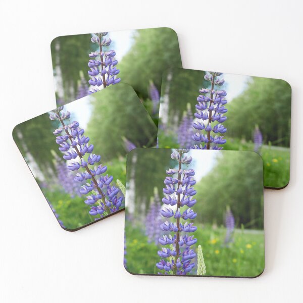Item preview, White and blue. Blue-pod lupine designed and sold by Jouko Lehto Photography.