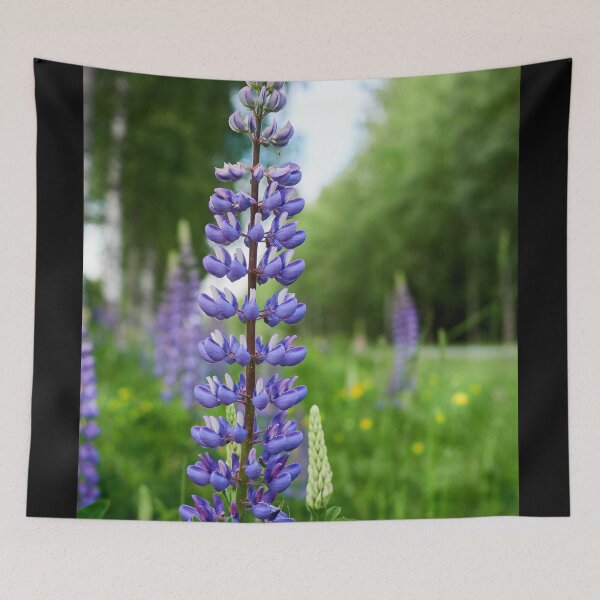 Item preview, White and blue. Blue-pod lupine designed and sold by Jouko Lehto Photography.