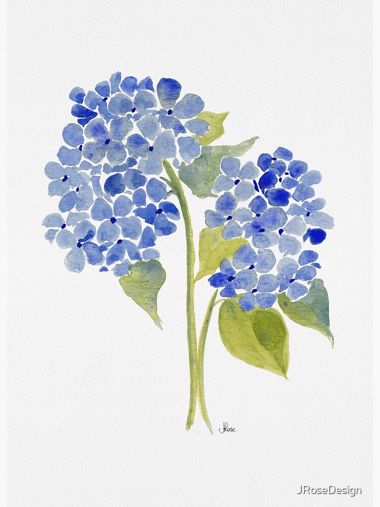 Hand-painted Blue Hydrangea and Forget Me Not Flower Botanical