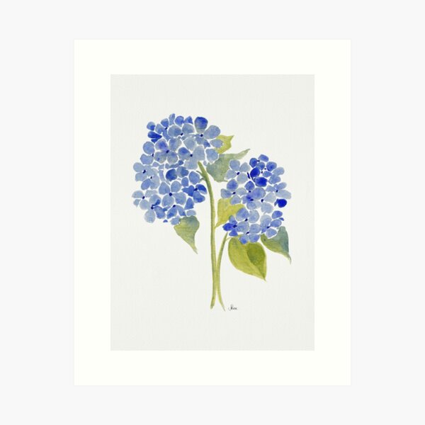 Blue Gouache Hydrangea  Art Print