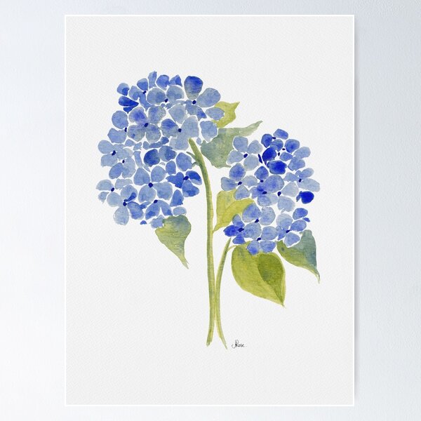 Wallace Cotton - NEW IN  Beautiful Blue Hydrangeaa new