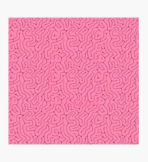BRAINS Photographic Print