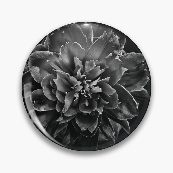 Item preview, Backyard Flowers In Black And White No 55 designed and sold by The Learning Curve Photography.