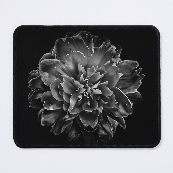 Item preview, Backyard Flowers In Black And White No 55 designed and sold by The Learning Curve Photography.