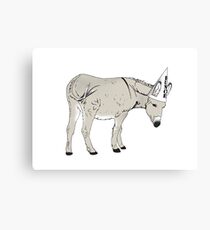 Dumb Donkey Canvas Print