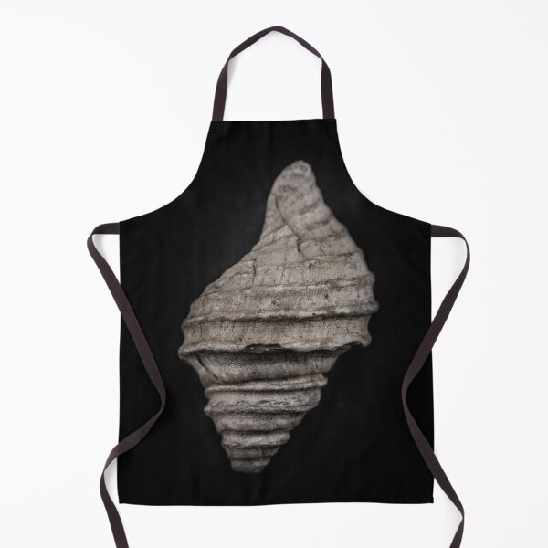 Item preview, Shells No 10 Color Version designed and sold by The Learning Curve Photography.