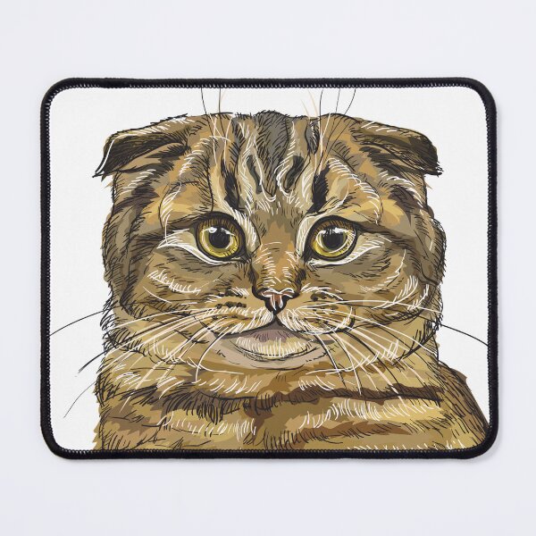 Item preview, Hand drawing Scottish fold cat designed and sold by Alinart16.