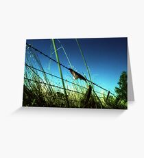 Fence 1 Greeting Card