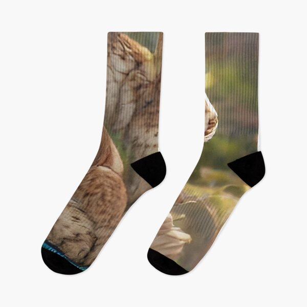 Item preview, Lynx designed and sold by Lachrymosa.