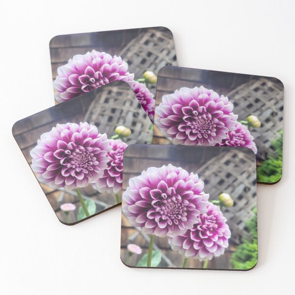 Item preview, Purple Dahlia  designed and sold by Etkennedy.