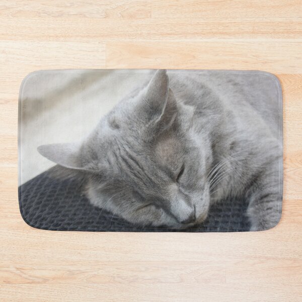 Item preview, Beautiful Grey Cat Sleeping Photograph designed and sold by taiche.