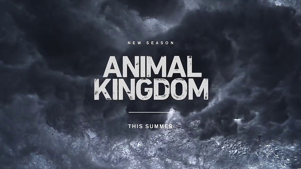 "Animal Kingdom TNT " by SarahMusuta | Redbubble