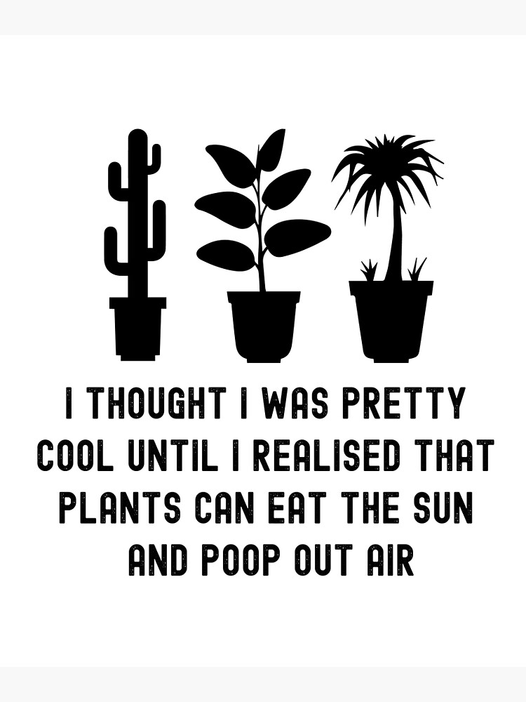 10+ Plant Quotes Funny