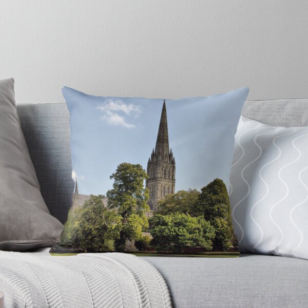 Aperçu de l'œuvre Cathédrale de Salisbury, Salisbury, Angleterre créée et vendue par Clive.