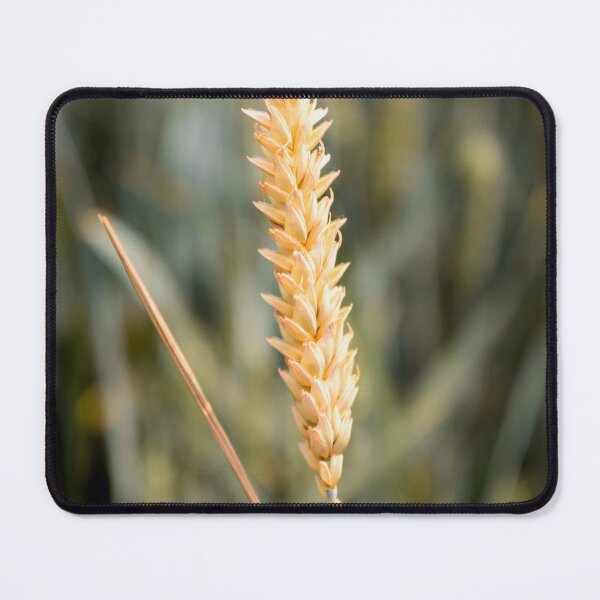 Item preview, Wheat designed and sold by JEZ22.