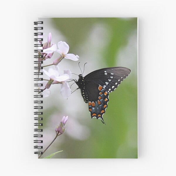 Item preview, Black Swallowtail Butterfly on white flowers designed and sold by Linda Crockett.