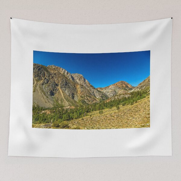 Item preview, Tioga Pass Yosemite National Park designed and sold by GestaltImagery.
