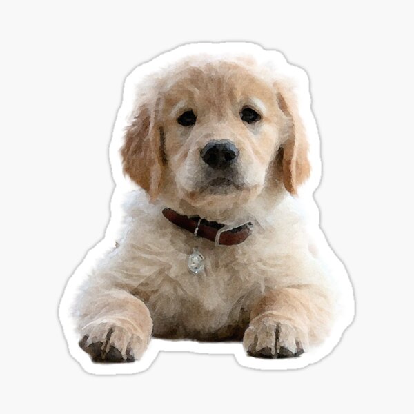 Watercolor Golden Retriever Puppy  Sticker