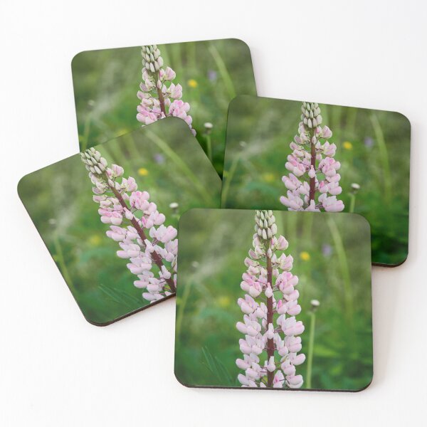 Item preview, All the pink way. Blue-pod lupine designed and sold by Jouko Lehto Photography.