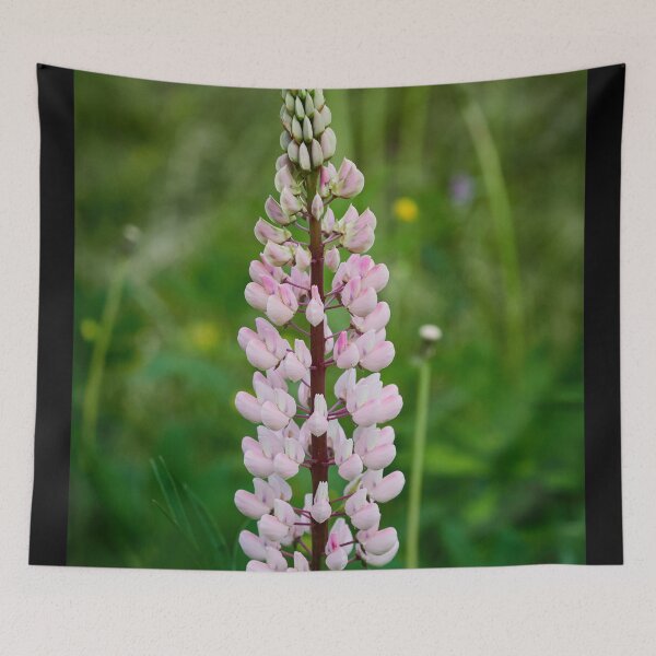 Item preview, All the pink way. Blue-pod lupine designed and sold by Jouko Lehto Photography.