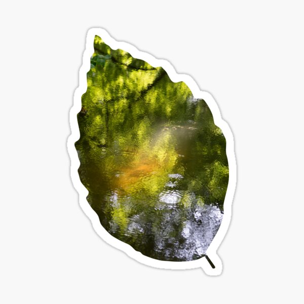 Summer dream on the riverbank, abstract reflection in water Sticker