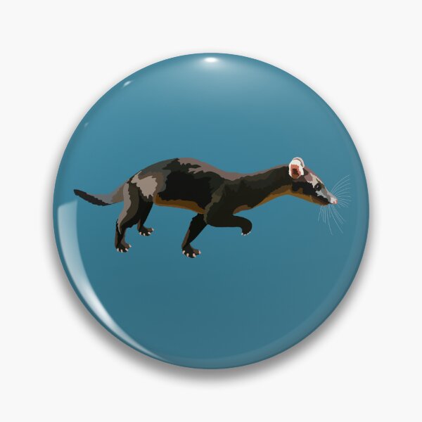 Item preview, H is for Hose’s Palm  Civet ,Hose's Civet: The Rare and Secretive Nocturnal Mammal of Borneo designed and sold by PrettylittlepastelUk.