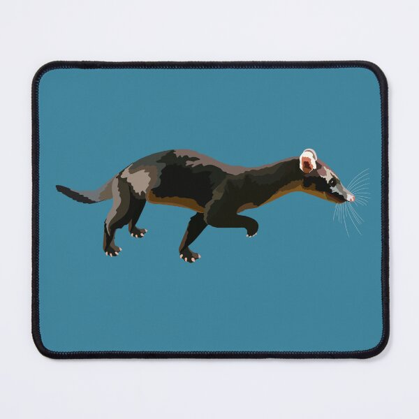 Item preview, H is for Hose’s Palm  Civet ,Hose's Civet: The Rare and Secretive Nocturnal Mammal of Borneo designed and sold by PrettylittlepastelUk.