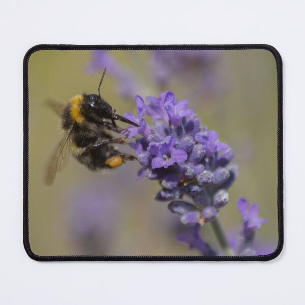 Item preview, Busy busy designed and sold by Marcus Grant IPA.