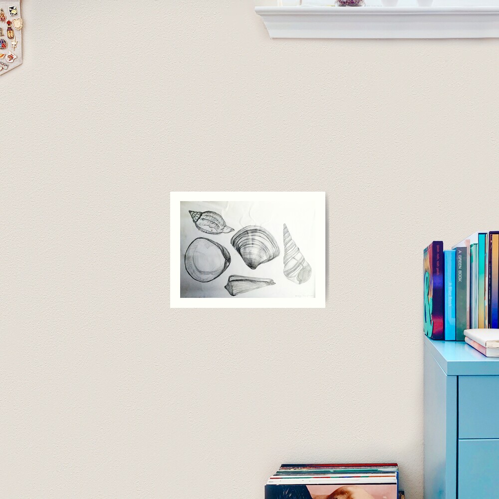 Sea Shells 4 by Margo Humphries Art Print