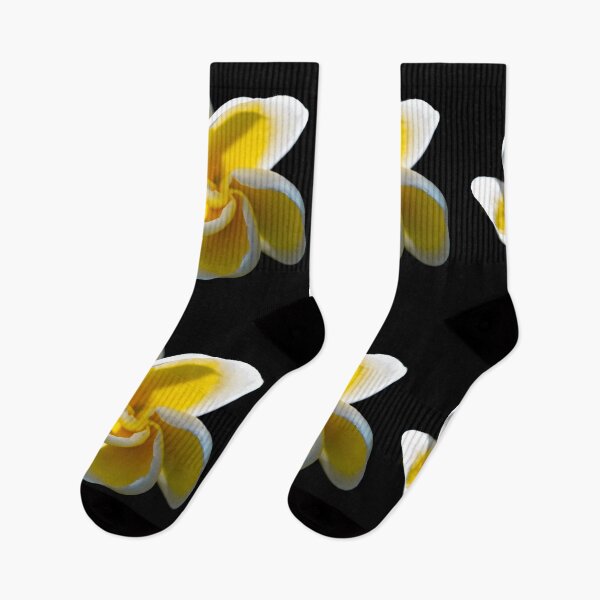 Item preview, Plumeria flower designed and sold by Christopher Stephenson.