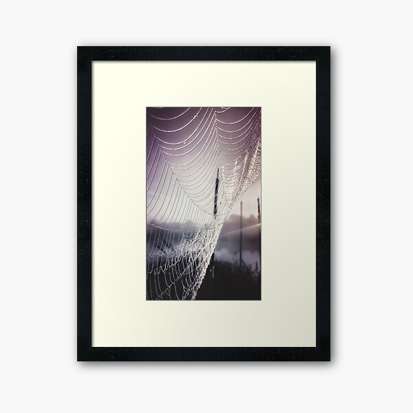 The Art of the Spider's Web Framed Art Print