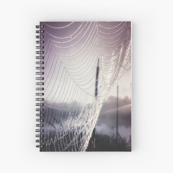 The Art of the Spider's Web Spiral Notebook