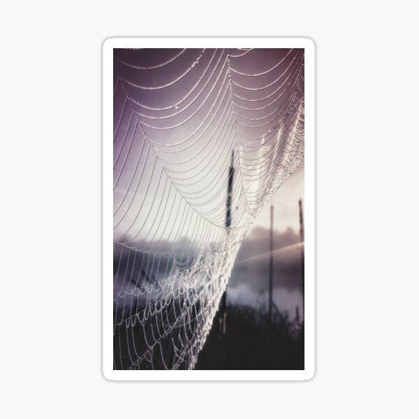 The Art of the Spider's Web Sticker