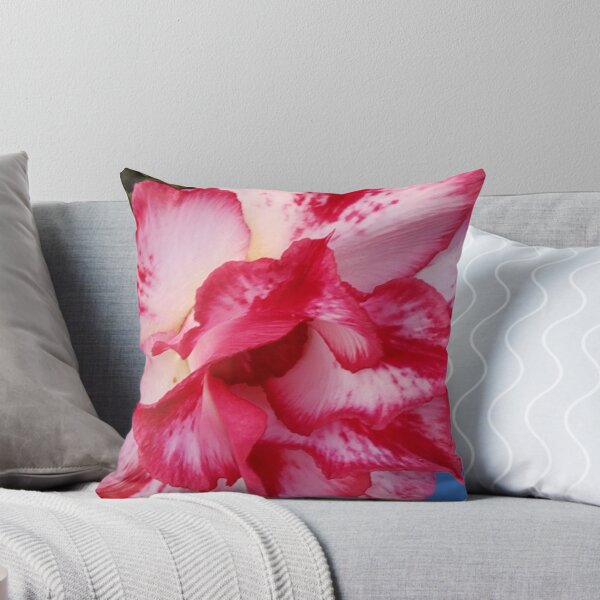 Item preview, Desert Rose, Adenium Obesum. designed and sold by imyournightmare.