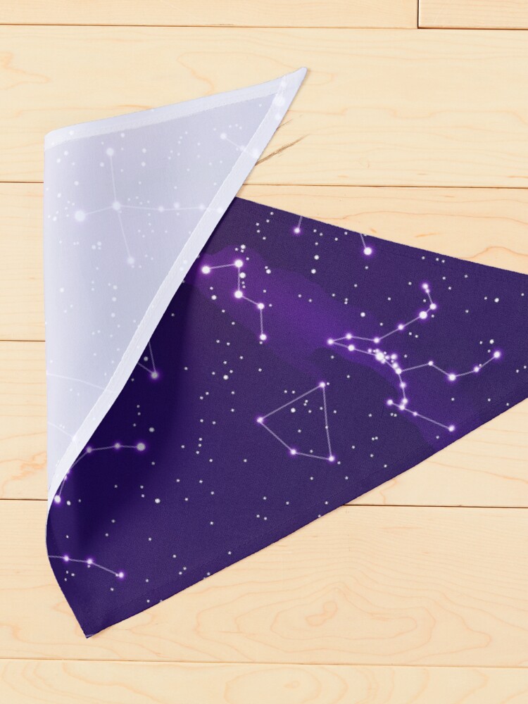 Alternate view of Star Field Pet Bandana
