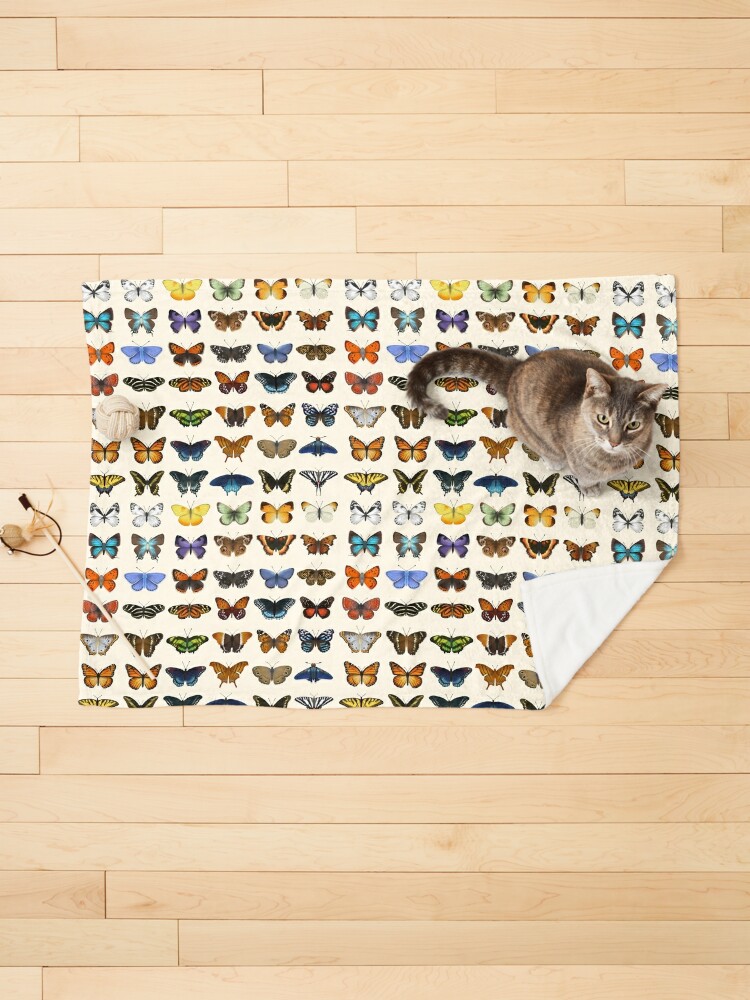 Butterflies Of North America Pet Blanket For Sale By Eleanor Lutz