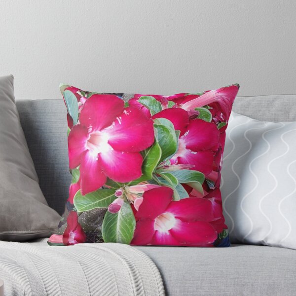 Item preview,  Adenium Obesom, Desert rose flowers.  designed and sold by imyournightmare.