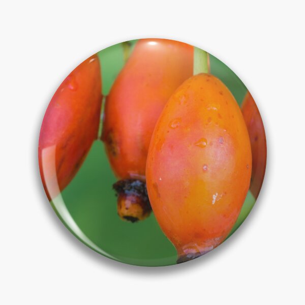 Item preview, Four Dewy Rosehips designed and sold by Bill Spengler's Photographic Thoughts.