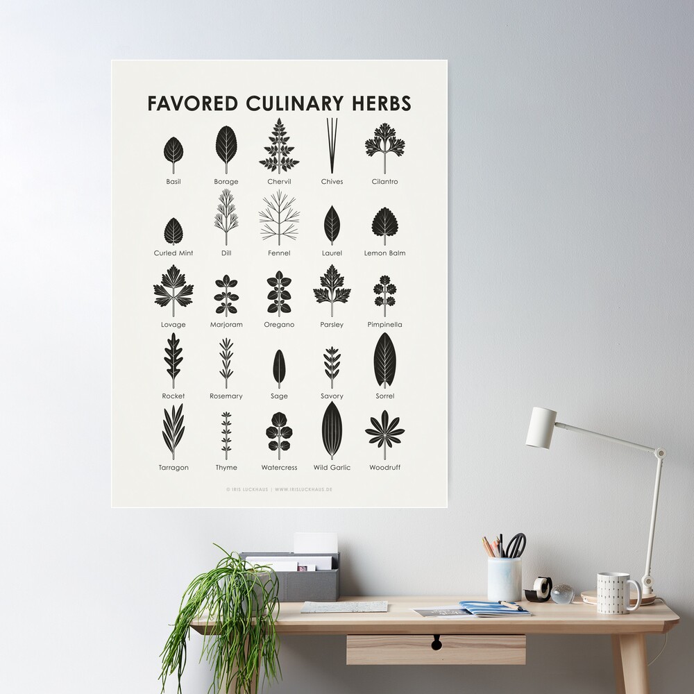 Culinary Spices Reference Chart, Culinary Printable, Spices Guide