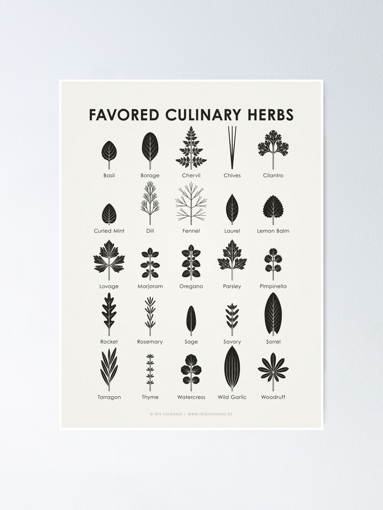 Culinary Spices Reference Chart, Culinary Printable, Spices Guide