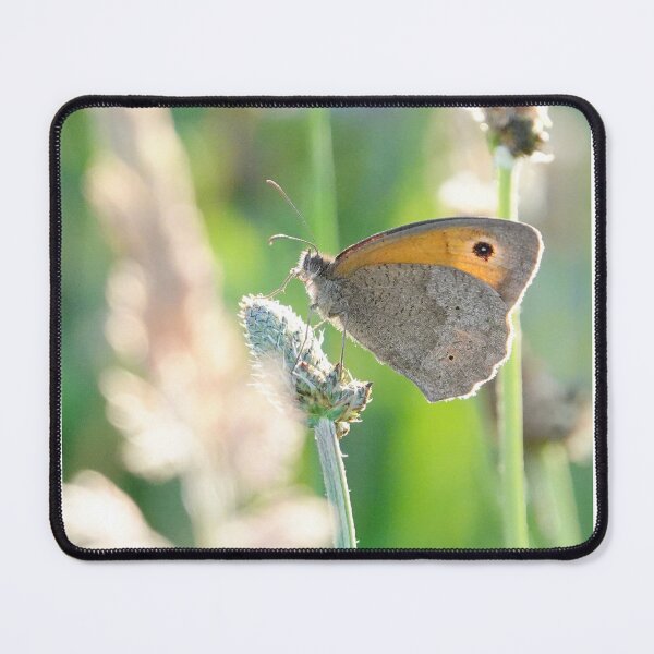 Item preview, “ Evening Meadow “ designed and sold by Richard Couchman.